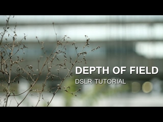 DSLR Tutorial: Depth of Field