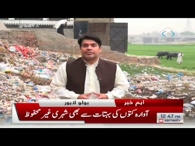 Pollution in River Ravi - Report by Farhan Wilayat Butt (Samaa TV)