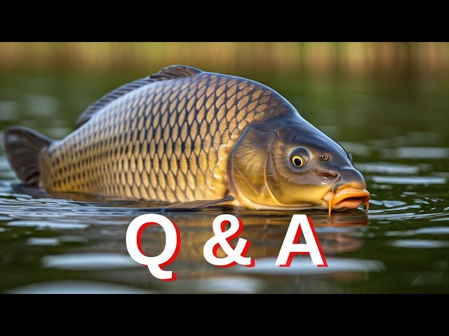 Free to Discuss! Fishing from A to Z!