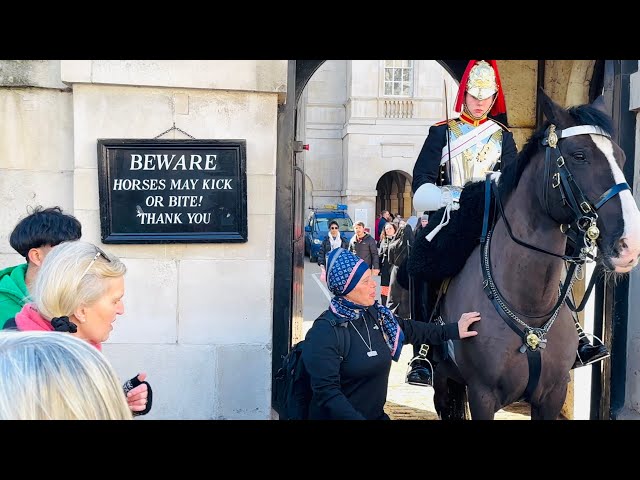 Woman Tells The Infamous Karen Not To Touch The Horse