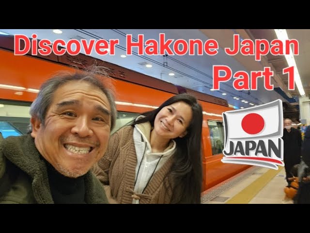 箱根Hakone (Places to Visit Near Tokyo) Romancecar from Shinjuku, Odawara Castle & Hakone Onsen Ryokan