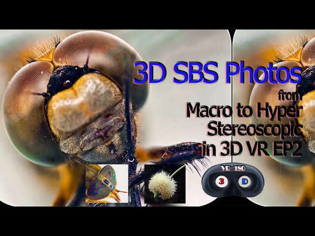 3D photos from Macro to Hyper Stereoscopic in VR3D EP02