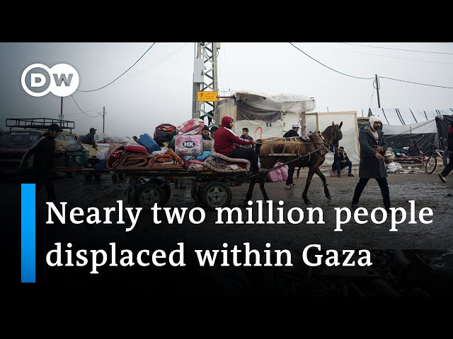 Displaced families in Gaza face daily ordeal | DW News