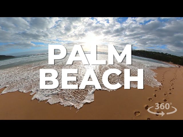 PALM BEACH 360 WALK #beach #beachlife #beachvibes #beaches #360video #ocean #oceansounds