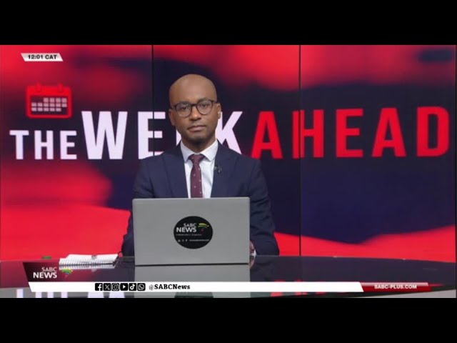 The Week Ahead | 17 November 2024