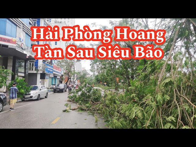 Hải Phòng Hoang Tàn Sau Siêu Bão || Lần Đầu Tiên Thấy Bão To Như Vậy