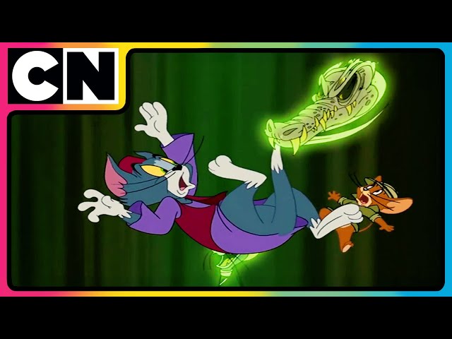 The Great Battle of the Houses! 🏠| Tom & Jerry | Cartoon Network India