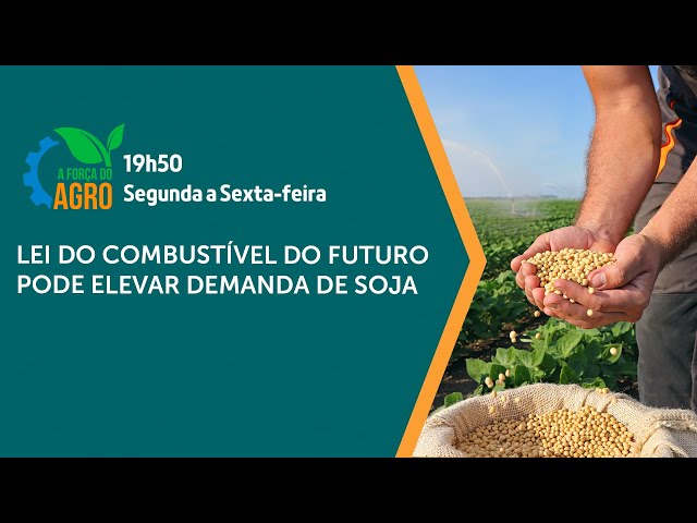 A Força do Agro - Lei do Combustível do Futuro pode elevar demanda de soja