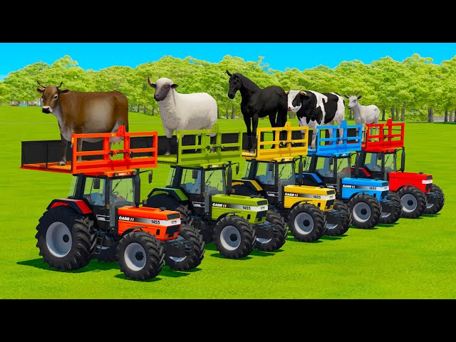 TRANSPORTING COWS, SHEEPS, HORSES, BULLS, GOATS & TRACTORS WITH MAN TRUCKS - FS22