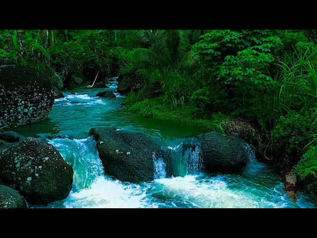 Nature Sounds Waterfall for Relaxation Meditation Relaxing Calm River Water Flow for Sleeping,ASMR