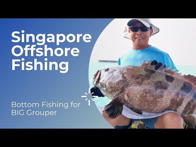 Singapore Offshore Fishing - Bottom Fishing for Big Groupers