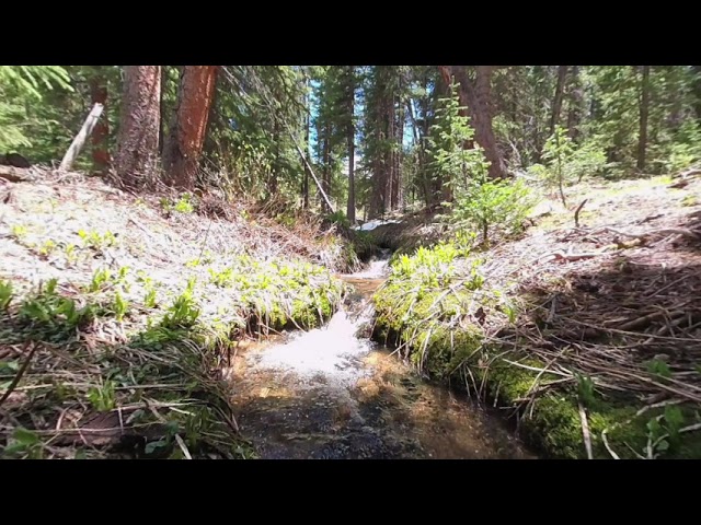 Nature Escape Rocky Mountain Stream VR180 VR 180 Virtual Reality Zen Colorado Rockies   15jun20 1  0