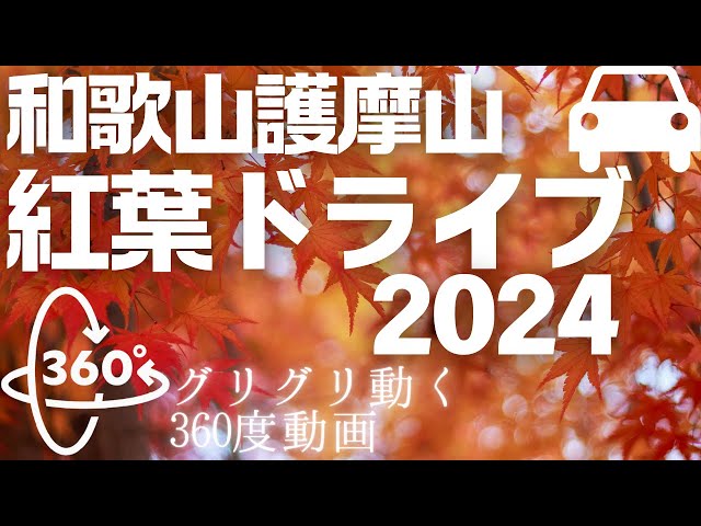 【360°VR】和歌山県護摩山紅葉ドライブ2024