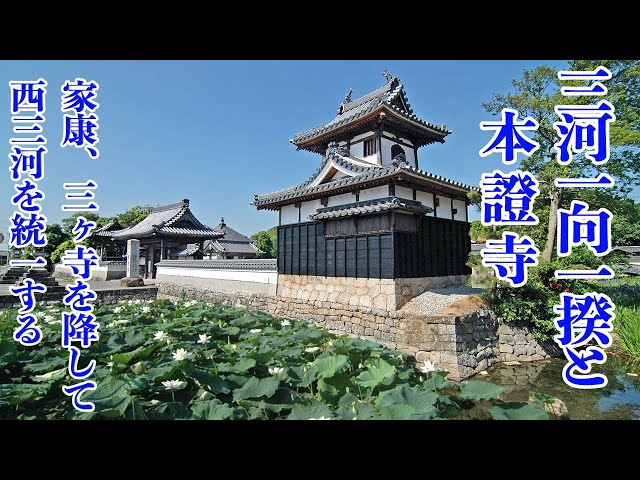 【三河一向一揆と本證寺】家康、三河三ヶ寺を降して西三河を統一する