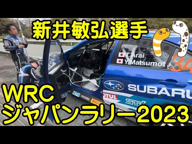 新井敏弘選手　WRCジャパンラリー2023【ちんあなご】