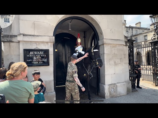 Heartwarming Moment: Soldier Cools Down King's Guard Horse with Refreshing Water Rub