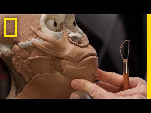 Exclusive: Building the Face of a Newly Found Ancestor | National Geographic