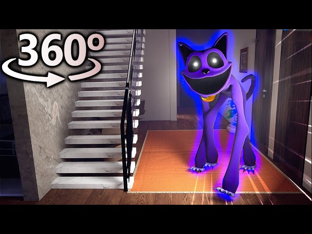 CATNAP in 360° | VR / 4K 😨