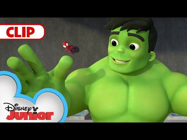 Superhero Switcheroo | Marvel's Spidey and his Amazing Friends | @disneyjunior