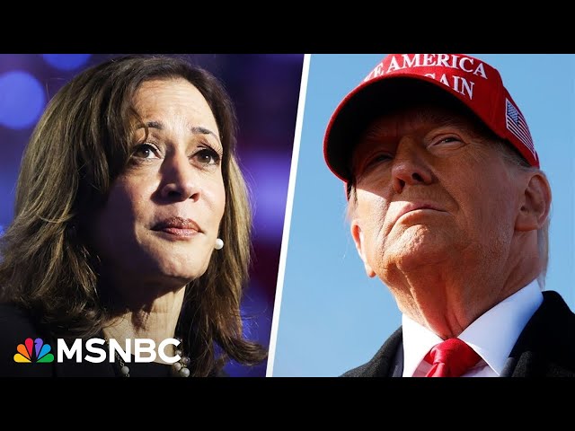 Battleground state voters speak to NBC about Harris and Trump