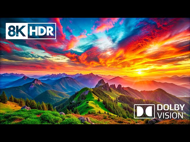 8K HDR Dolby Vision 60FPS로 자연의 다양성을 경험해보세요