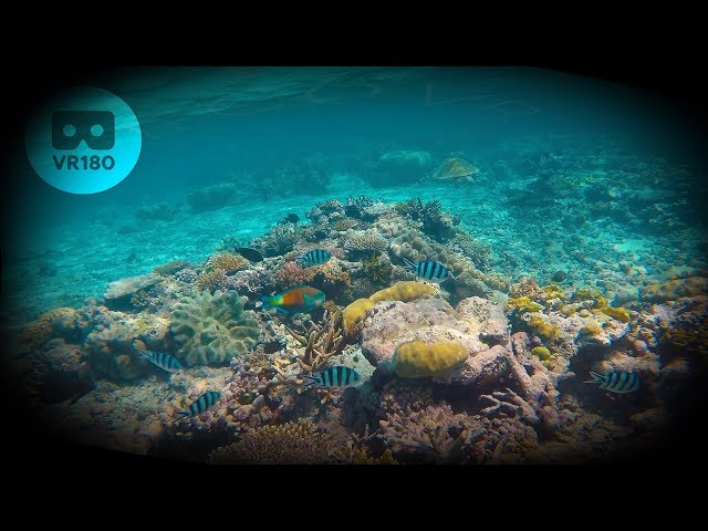 VR180 Great Barrier Reef - 2 minute VR Relaxation Meditation for Oculus Quest