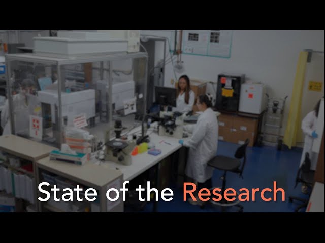 2023 - Current State of Research at Cognition