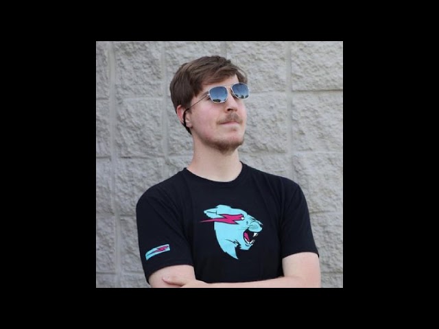 MrBeast Outro Song 1 hour