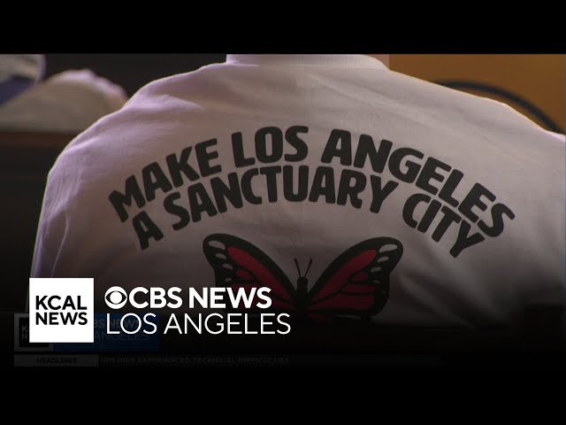 LA adopts sanctuary city ordinance as Trump mass deportation plan takes shape