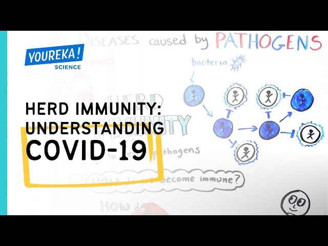 Herd Immunity: Understanding COVID-19