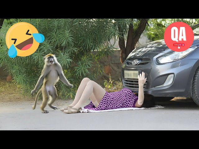 Funny & Hilarious People's Life 😂 #14 - Try not to Laugh | Instant Regret Fails Compilation 2024