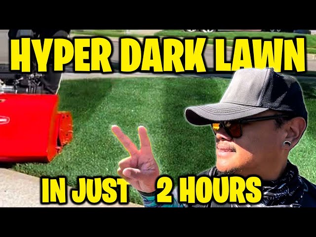 DARK LAWN IN 2 HOURS 🌚 FASTEST METHOD ON YOUTUBE! Proven Results!