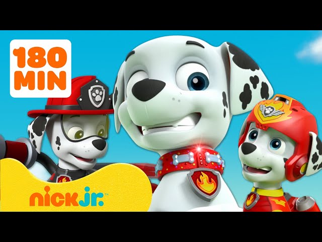 PAW Patrol | ¡3 horas de los MEJORES momentos de Marshall! | Nick Jr. en Español