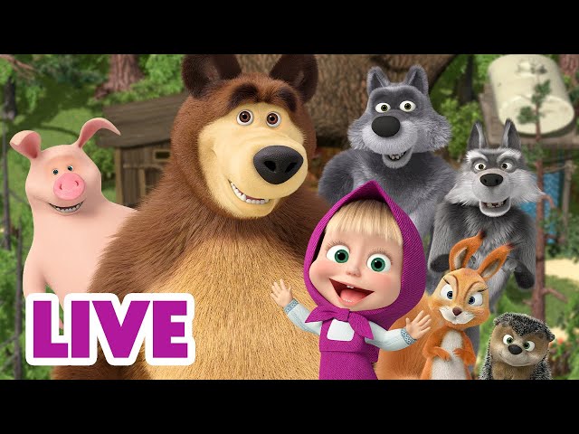 🔴 LIVE 🐻👧 Masha y el Oso ⭐ Todos los capítulos 🎬 Masha and the Bear