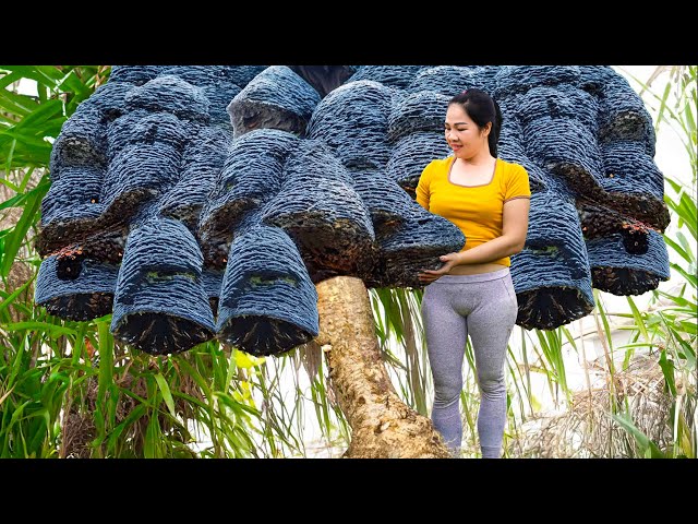 WOMEN Harvesting Devil's Mushroom & Go to Market Sell | Surviving After Harvesting |  Liziqi