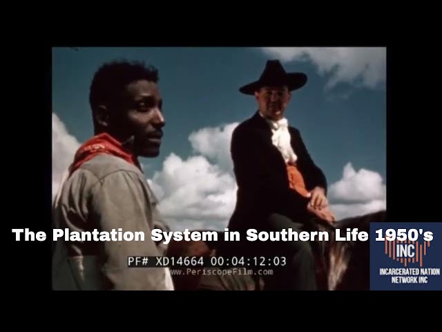 The Plantation System in Southern Life 1950's