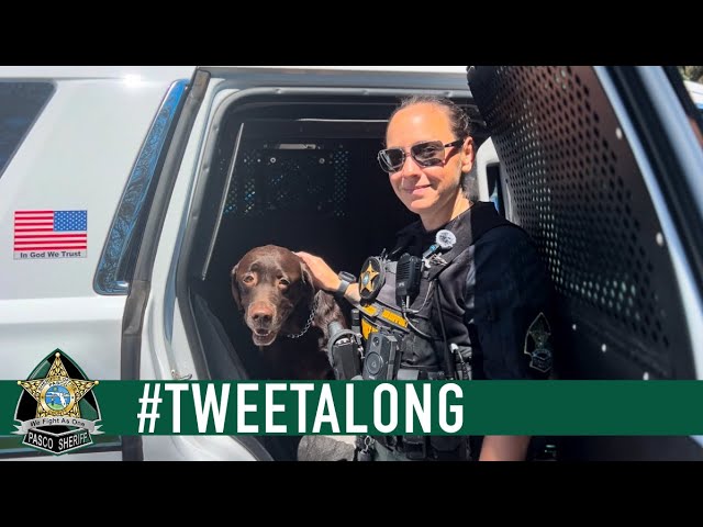 TweetAlong: Community Engagement