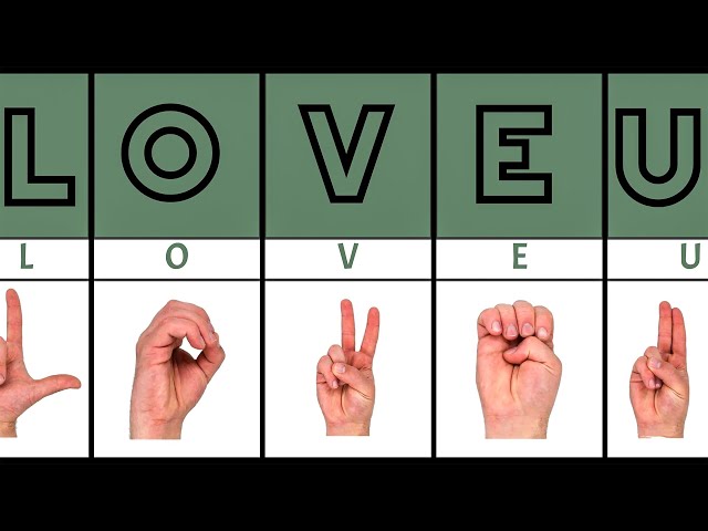 Signs Language Alphabet (ASL Alphabet)