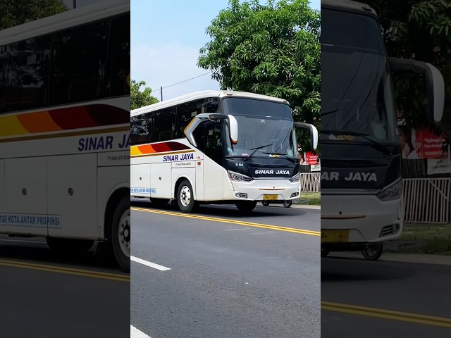 BIG BUS SINAR JAYA TELOLET BASURI MESIN HINO NGEBUT SAMPAI OLENG #shorts #trending #subscribe