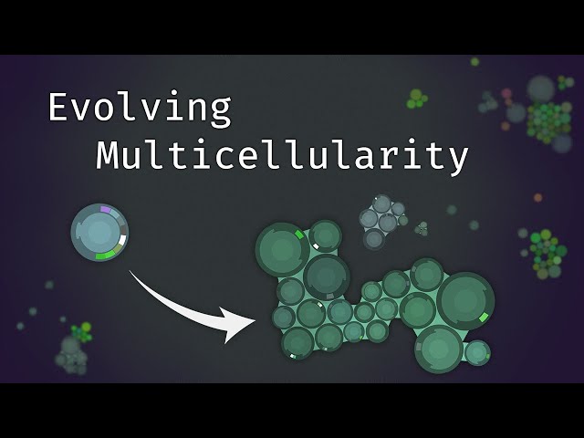 Simulating an Evolving Microcosmos | The Path to Multicellularity