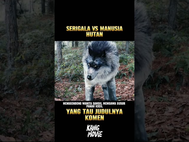 SERIGALA VS MANUSIA HUTAN  #movie #alurfilem #film #alurflim #alurceritaflim