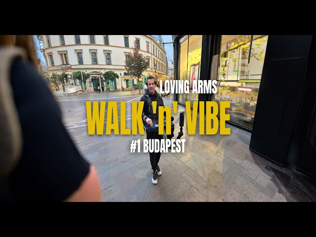 LOVING ARMS Live #1 WALK 'n' VIBE 🚶🏽 #Budapest  🕺🏽 🌉 (David Guetta / Mr. Belt & Wezol /Adam Port)