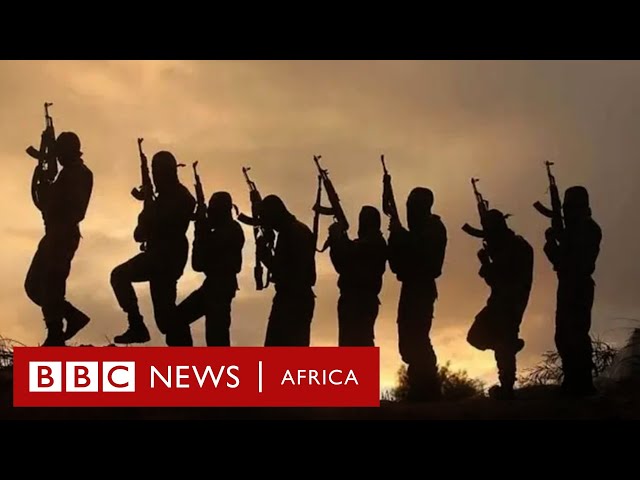 Who are the Lakurawas, Nigeria's new jihadist group? BBC Africa