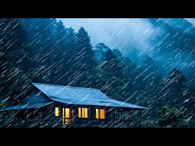 Rain sound for sleeping, calm down, goodbye to stress - Heavy rain and thunder in foggy forest #62