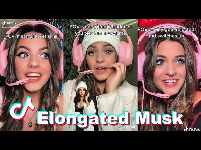 Funny ELONGATEDMUSK POV Tiktok Videos 2022 | Best TikTok POVs of Valerie LePelch