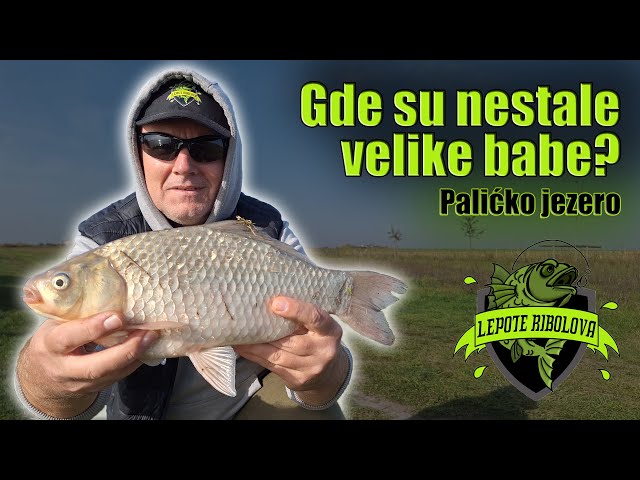 Potraga za krupnom babuškom na method feeder | Palićko jezero | Lepote Ribolova ep. 48