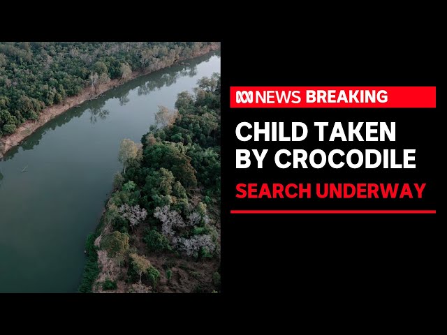 Child missing, reportedly attacked by crocodile in remote NT | ABC News