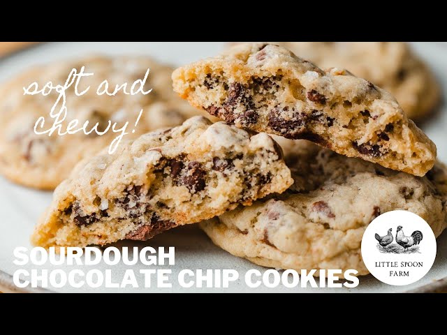 The Greatest Sourdough Chocolate Chip Cookies Ever!