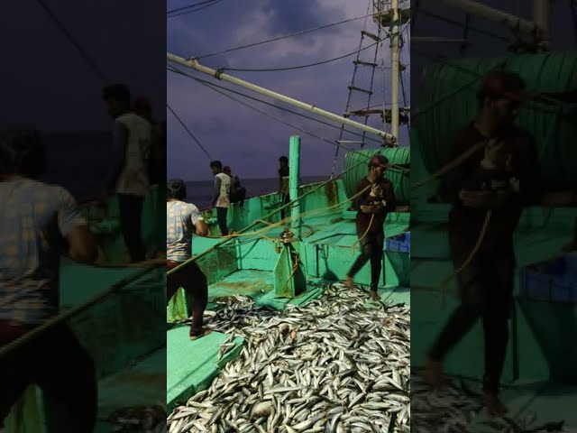 ఎక్కువ చేపలు పడ్డాయి Fishing boat fish journey Rameya telugu