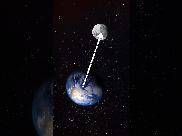 Earth and moon between true distance #space #moon